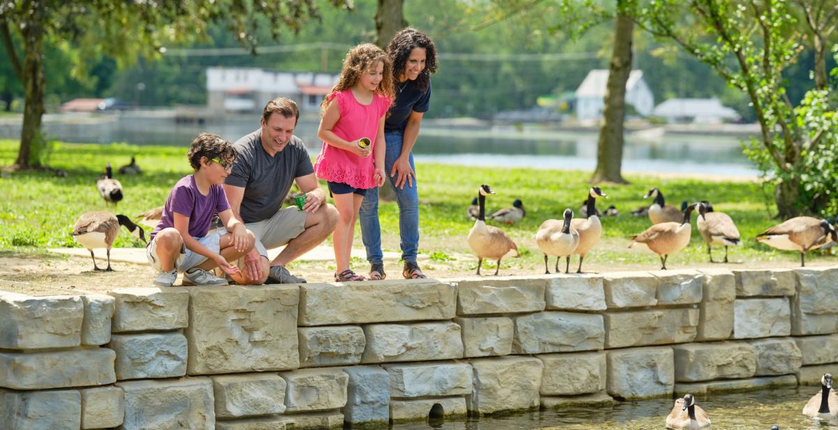Cumberland Valley Family Feeding Geese