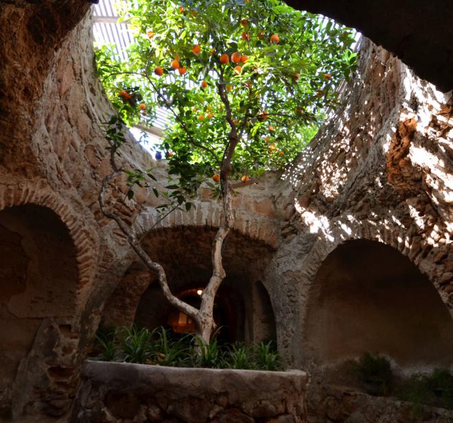 tree growing in the middle of an underground passageway