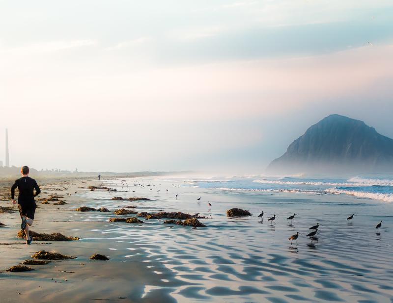 Oceanfront MB Running