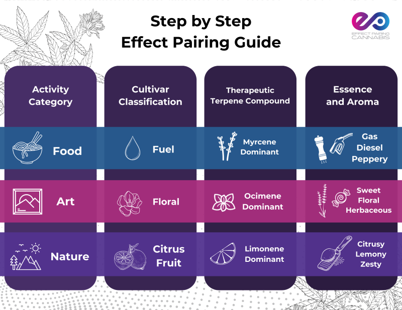 Effect Pairing Guide
