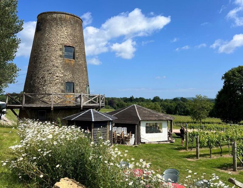 Nutbourne Vineyard windmill and garden with flowers
