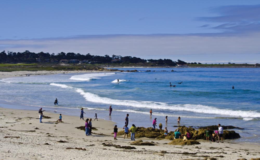 carmel beach surf