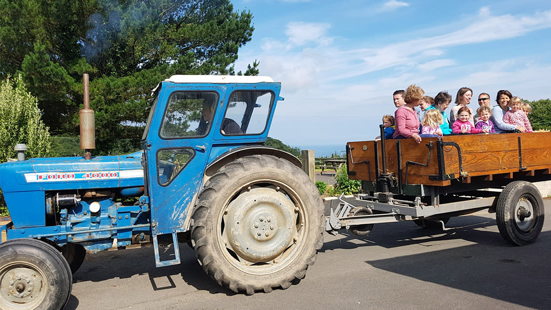 A blue Ford tractor pulls a wooden trailer with smiling adults and children, under a sunny sky. Tall trees and a glimpse of the sea are in the background.