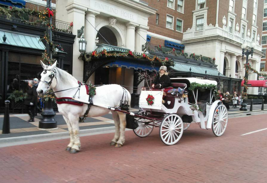 Horse Drawn Scenic Tours of Grand Rapids - Kent City MI, 49330