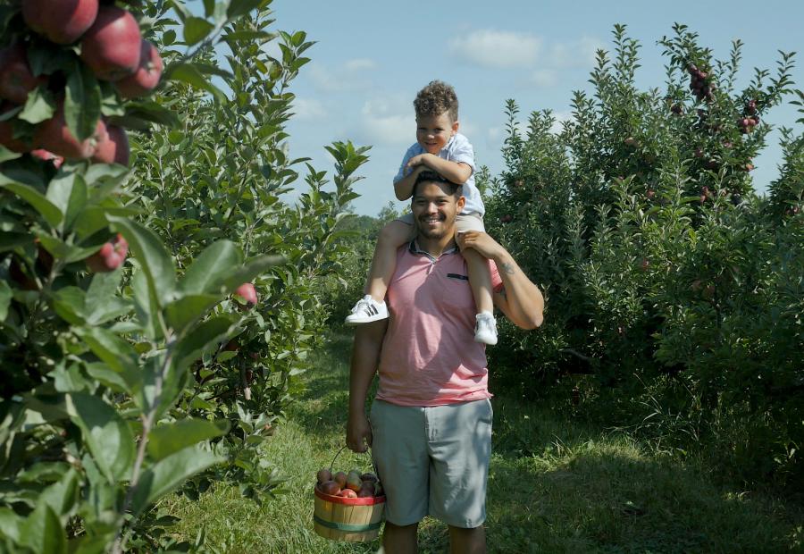 All About McIntosh Apples  Robinette's Apple Orchards in Michigan