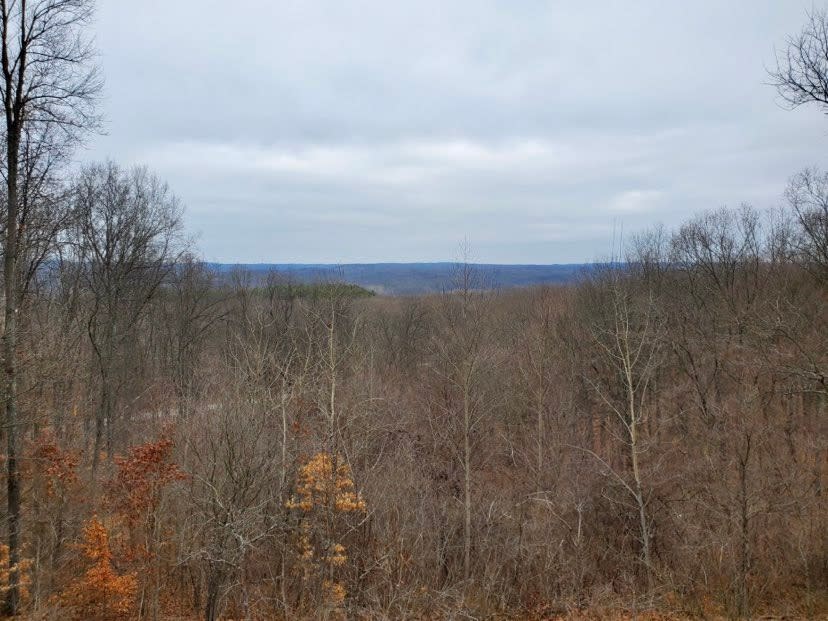 Brown County State Park north overlook vista