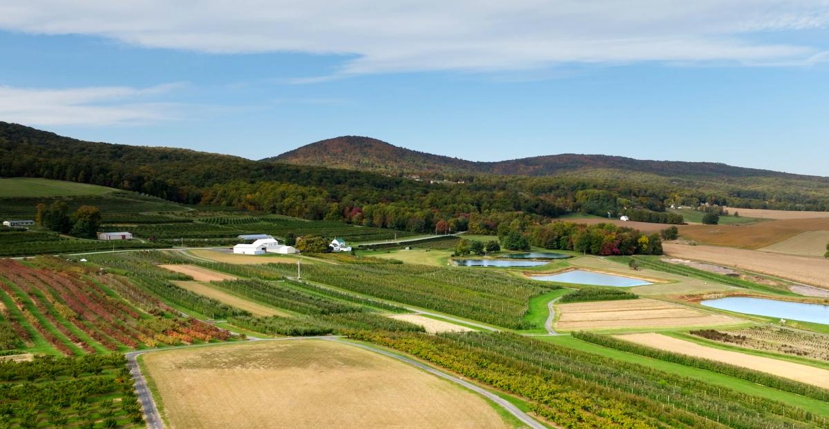 A view of farmland and Catoctin Mountain