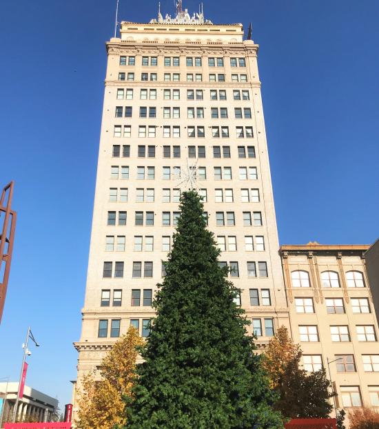 public Christmas tree in front of an office tower