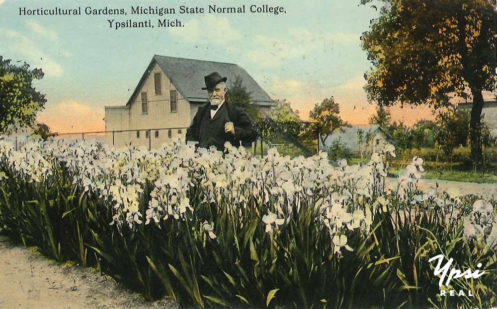 Agricultural gardens at Michigan State normal college vintage postcard