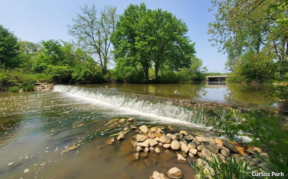 Curtiss Park in Saline