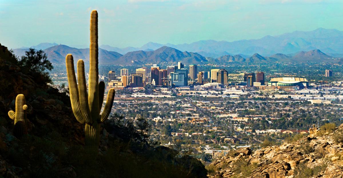 Downtown skyline with saguaro
