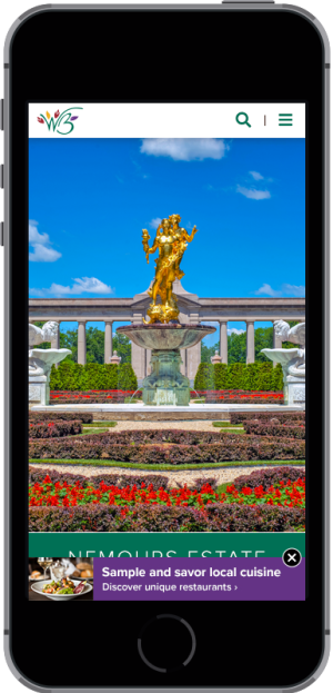 DTN - Mobile Phone - Mock for Media Kit