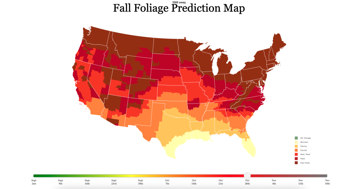 2025 fall map