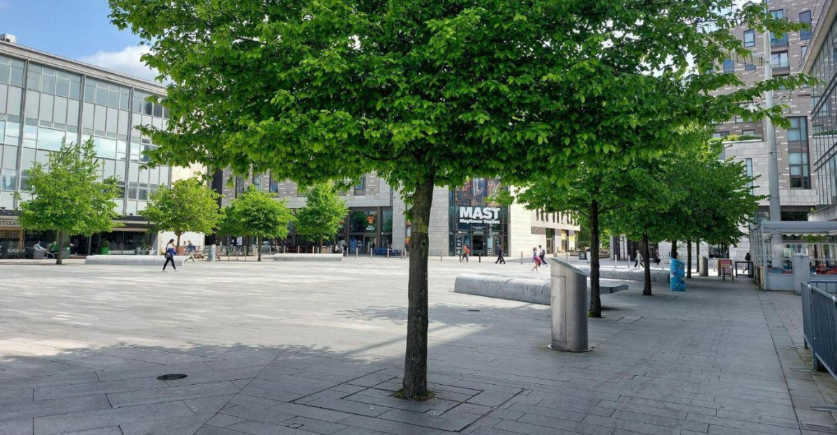 Trees in front of Guildhall Square
