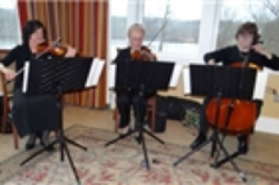 Westminster-Strings--300x187.jpg