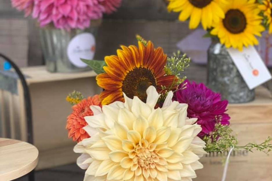 the dahlia patch
