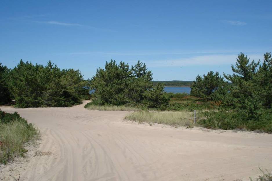 East Beach State Beach 1