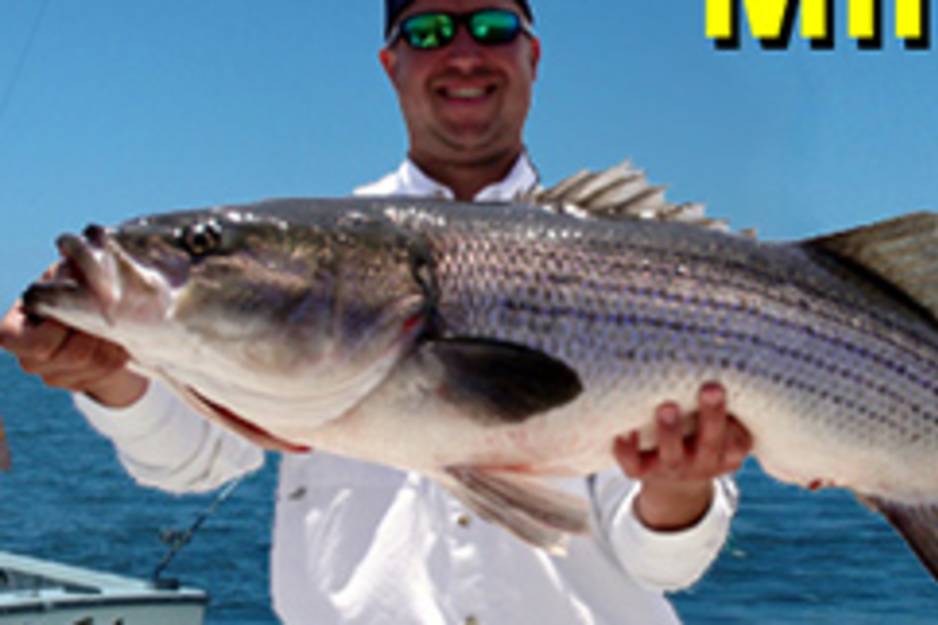 millertimetitlebar-01.jpg