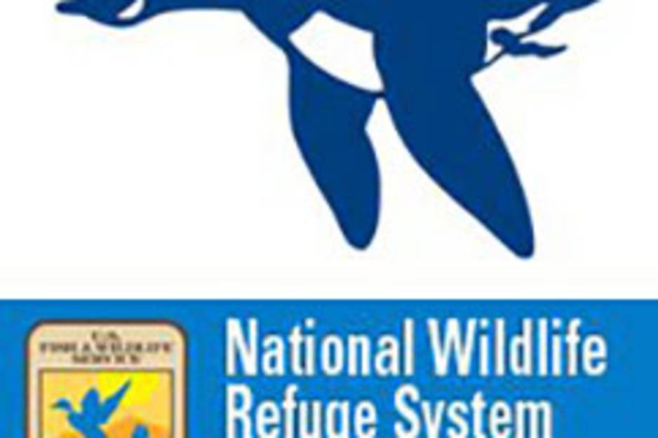 natioanl wildlife refuge-2.jpg