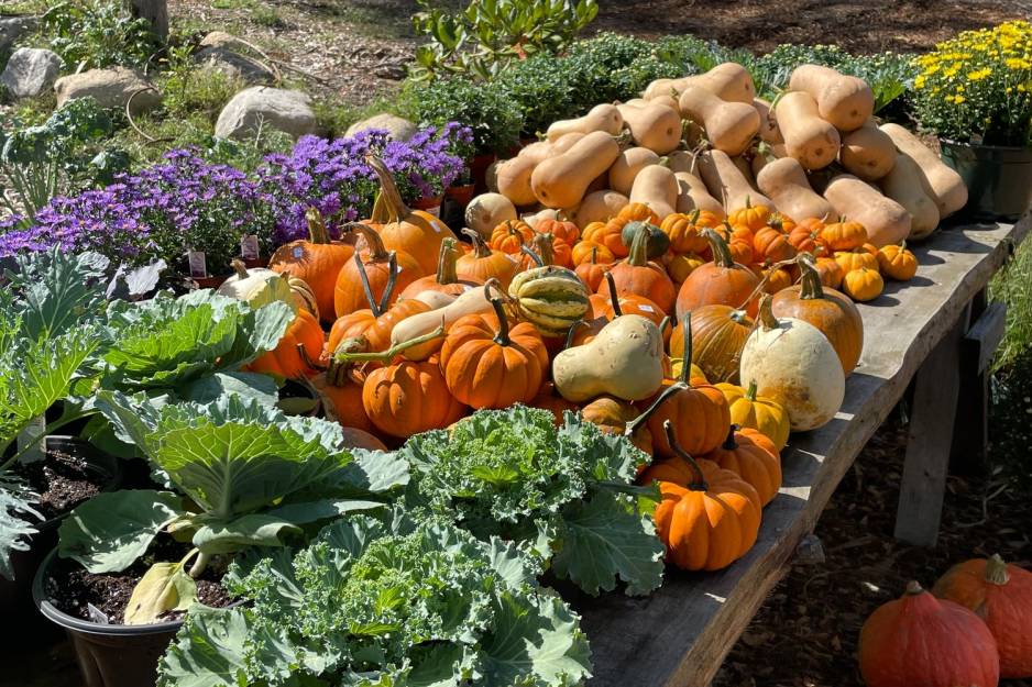 Pasquale Farms