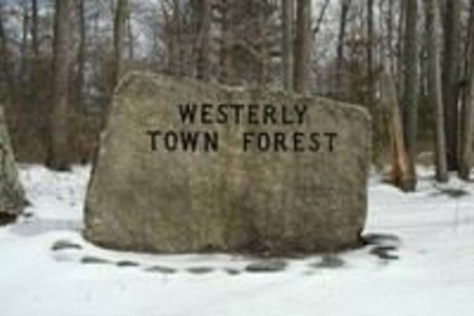 westerly town forest