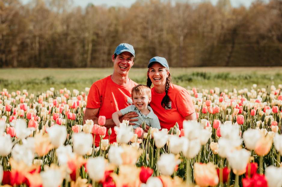 wicked tulips