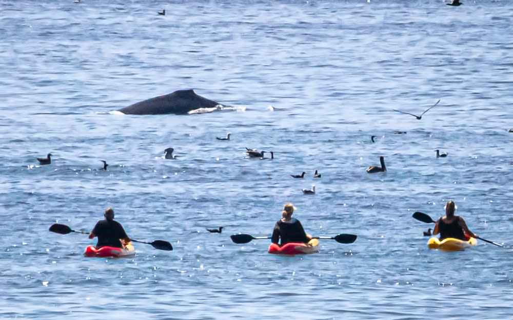 kayaking