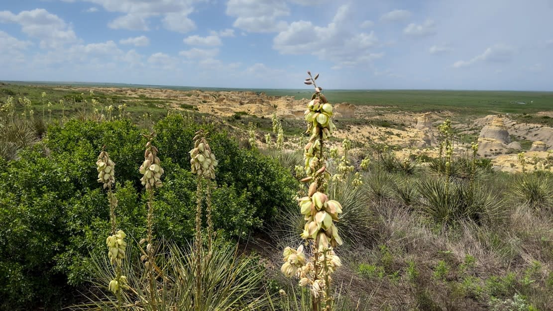 Little Jerusalem Badlands