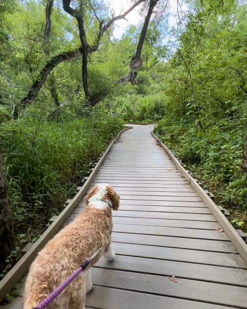 Silver Lake Nature Center