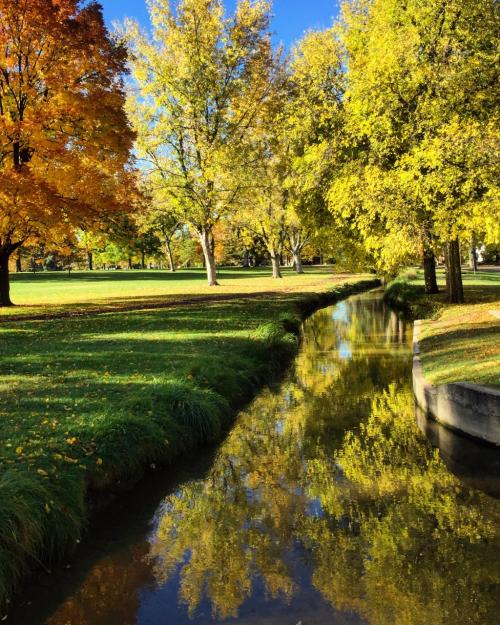 Only in Denver: City Ditch, Denver’s Oldest Working Thing | VISIT ...