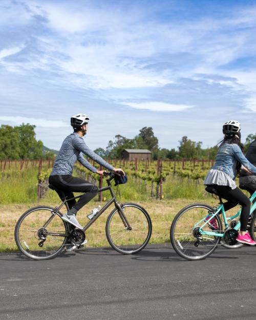 The Napa Valley Vine Trail: Touring the Valley by Bike
