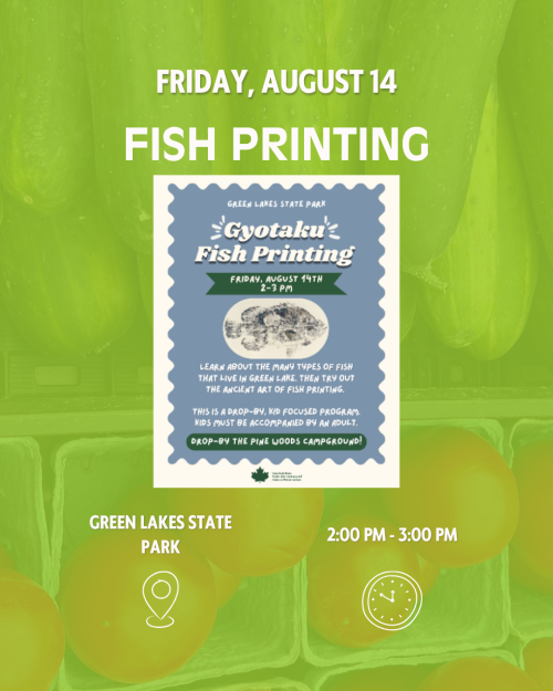 Fish Printing