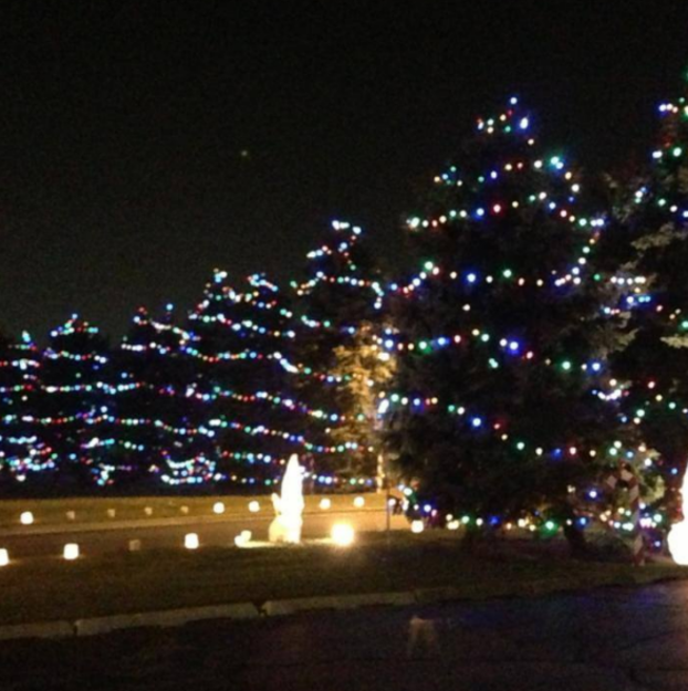 Christmas Tree Lane Leesburg Fl 2022 South Shore, In Restaurants | Northwest Indiana Dining Guide