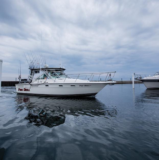 Lake Michigan Provides “Unnaturally” Good Fishing Every Year