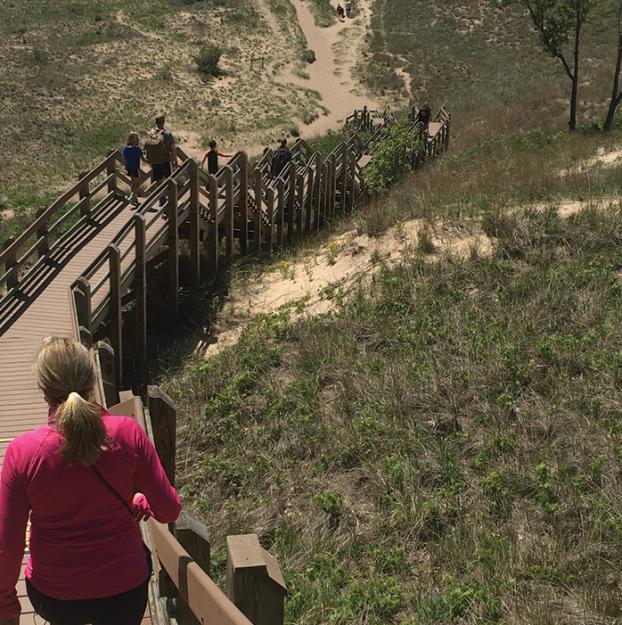 Dunes Succession Trail