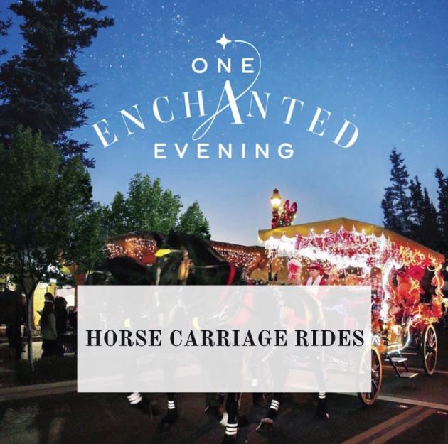 Infographic with "One Enchanted Evening" written at the top and a photo of a horse carriage with Christmas lights