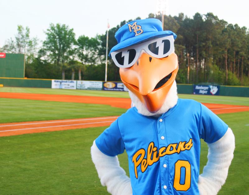 Myrtle Beach Pelicans - Splash