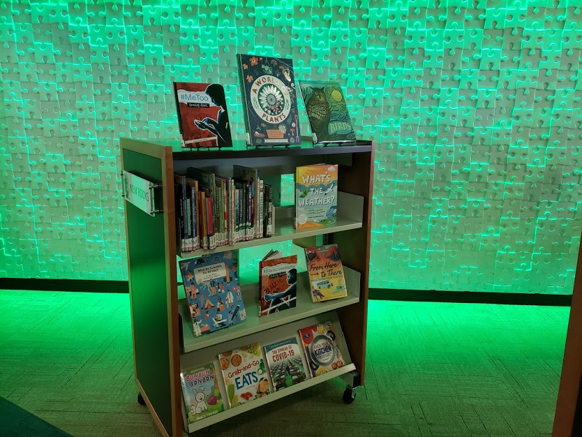 Inside Public Library- LED Display