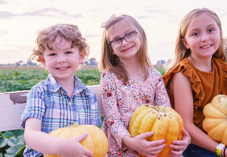 Three children holding pumpkins on a bench at a farm