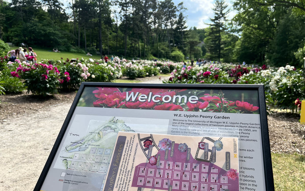 Peony Garden Welcome Sign