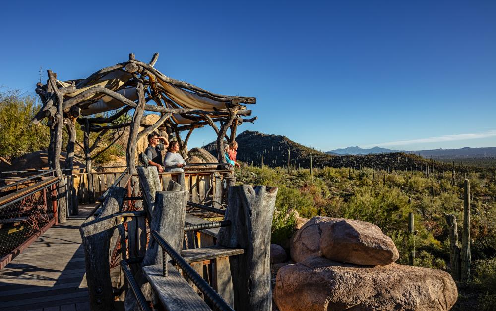Three people standing on a wood dock overlooking a desert landscape with mountains, cacti, and desert brush