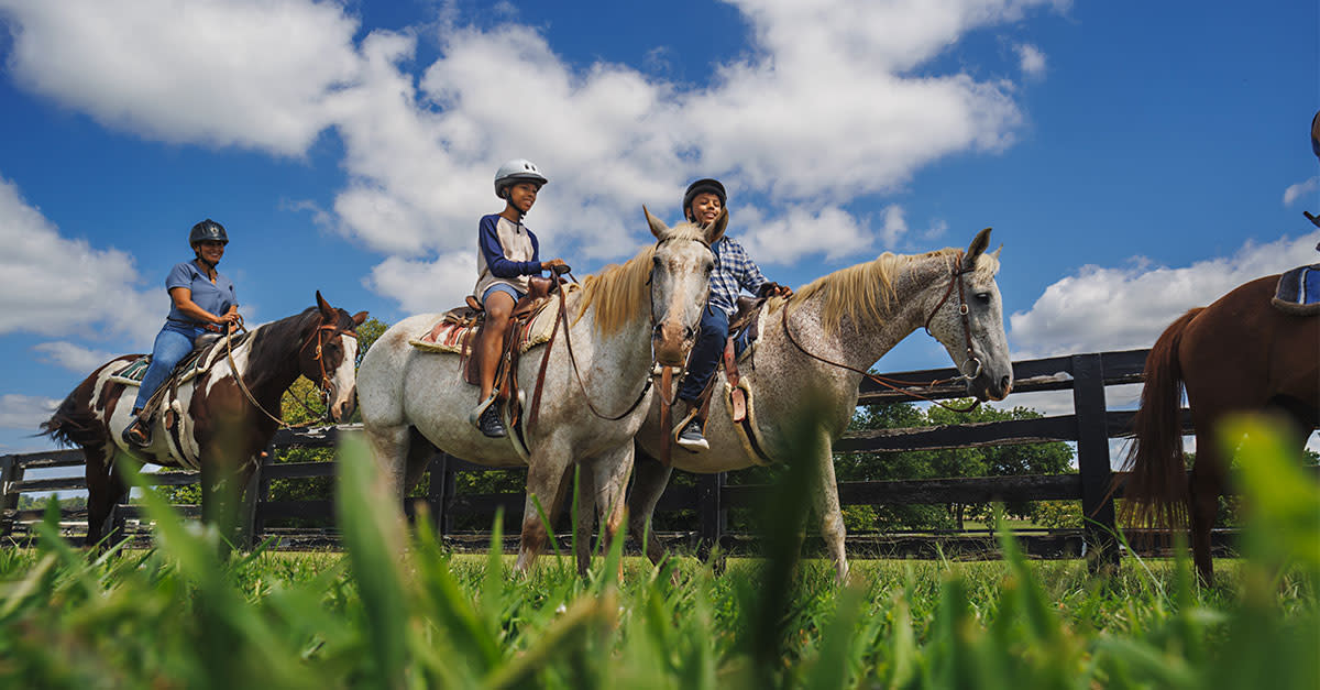 Blue skies, green grass three people horseback riding in Lexington, Kentucky