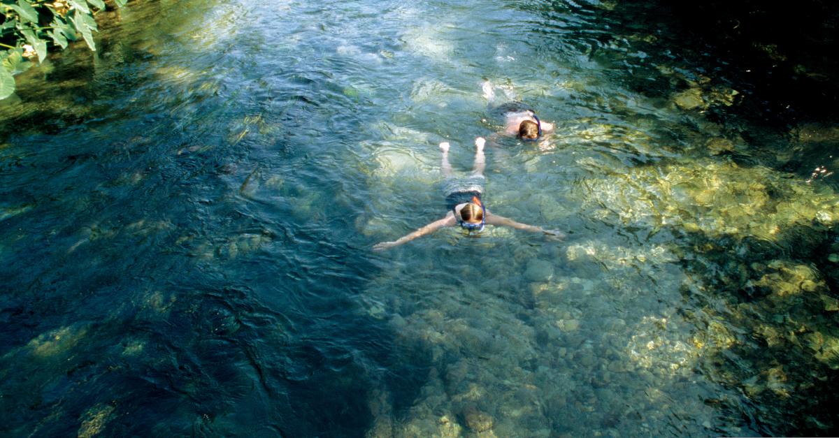 Two people snorkeling on San Marcos River