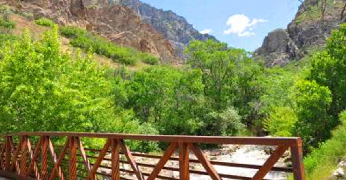 The Ultimate Guide to the 50 Best Hikes in Utah Valley