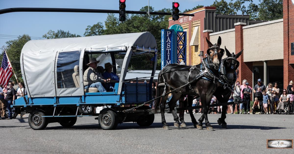 Two horses pull a covered wagon filled with people for a parade with people watching along the sidewalk.