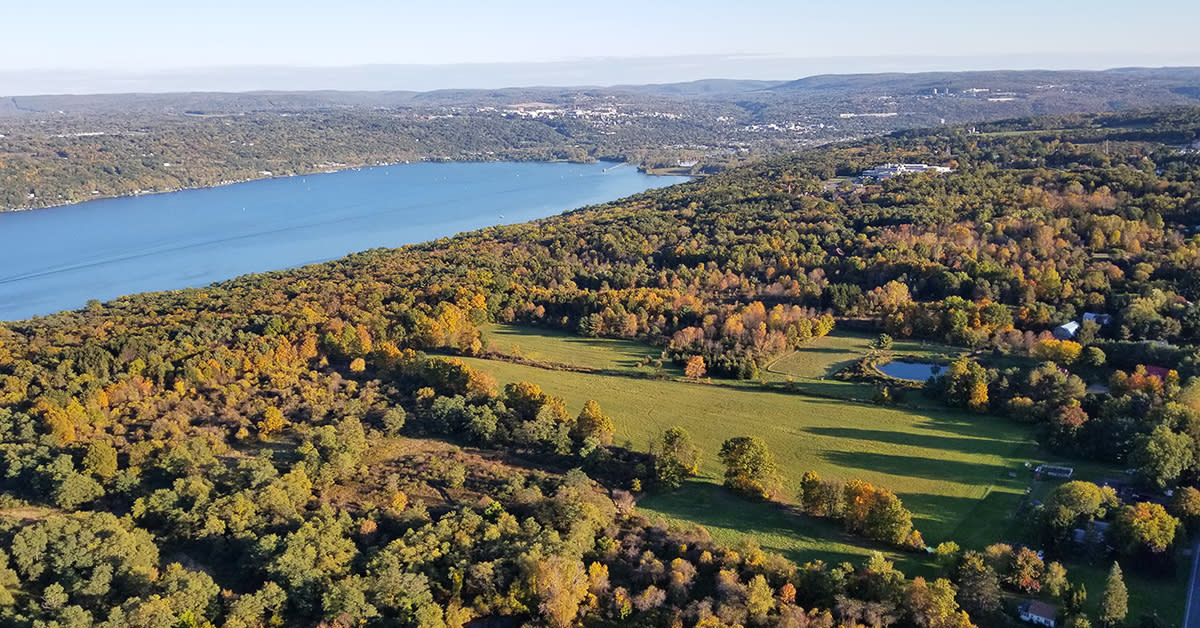 ST balloon fall 2019 lakeview