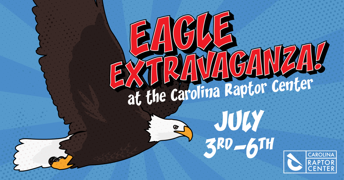 Eagle Extravaganza