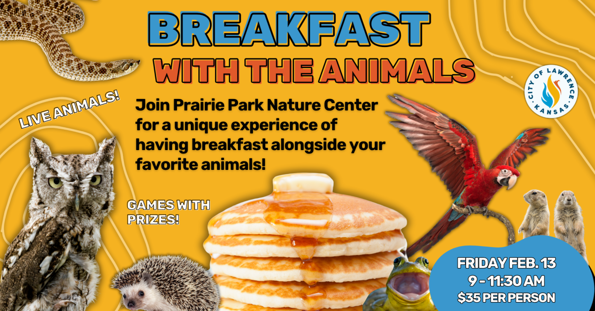 Breakfast with the Animals