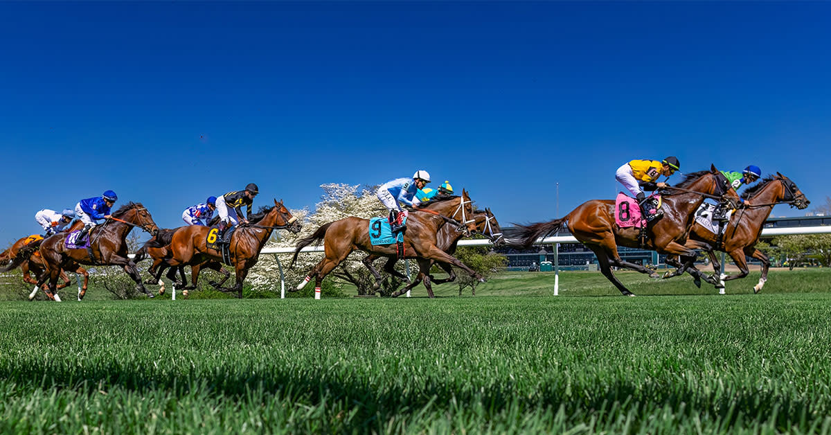 Keeneland Horse Racing Lexington, KY