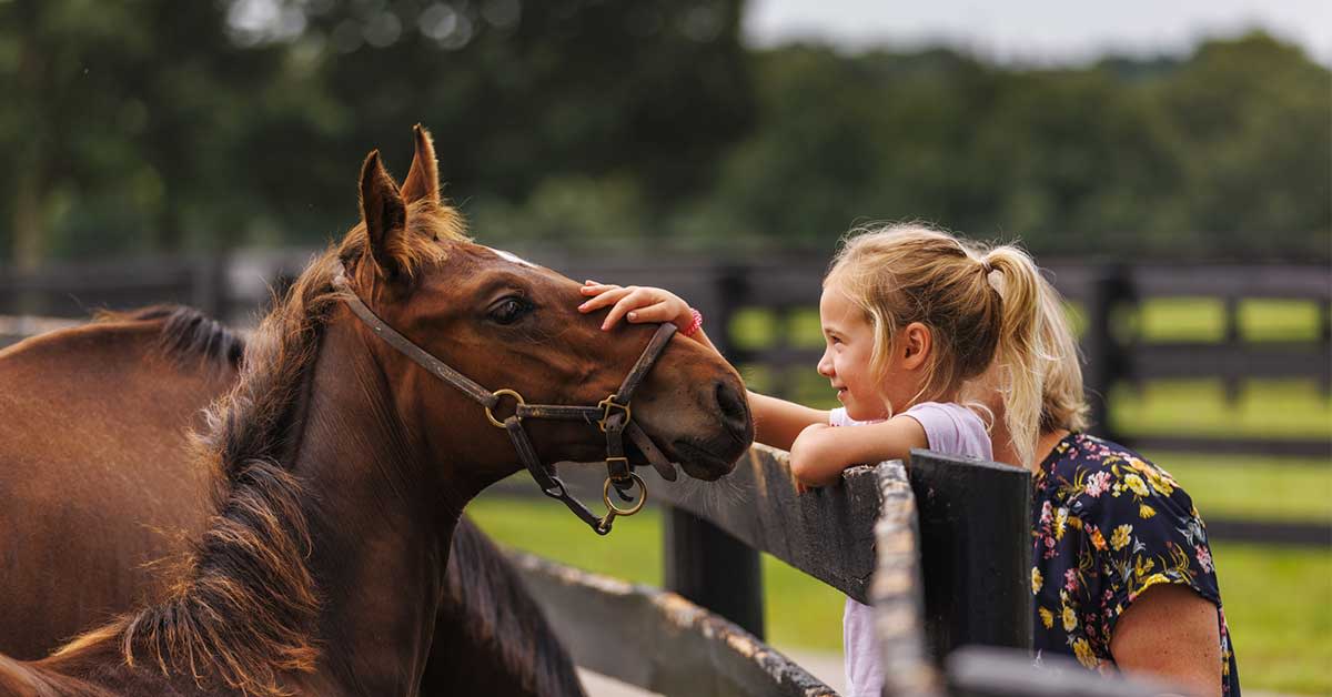 Child petting a horse with her mother's support at Kentucky Horse Park